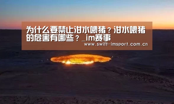 im体育下载