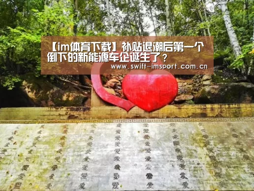 【im体育下载】补贴退潮后第一个倒下的新能源车企诞生了?(图2) im赛事