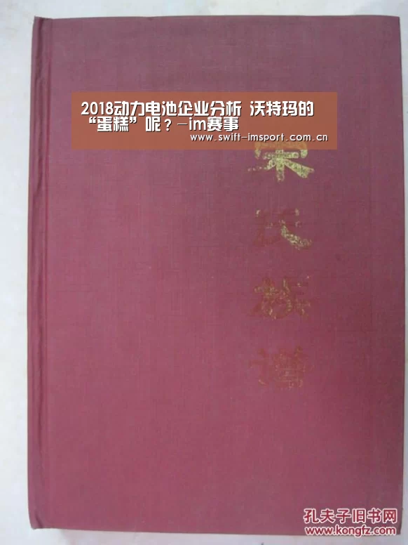 2018动力电池企业分析 沃特玛的“蛋糕”呢?-im赛事(图2) im体育下载