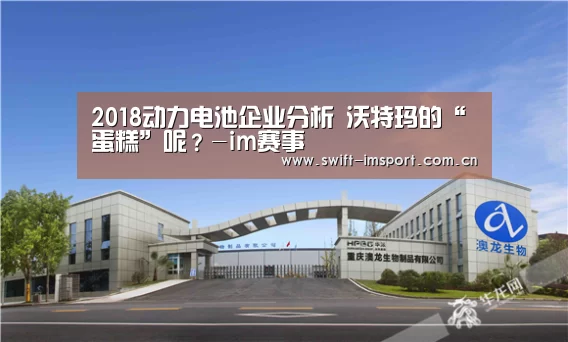 2018动力电池企业分析 沃特玛的“蛋糕”呢?-im赛事(图3) im体育欧洲杯