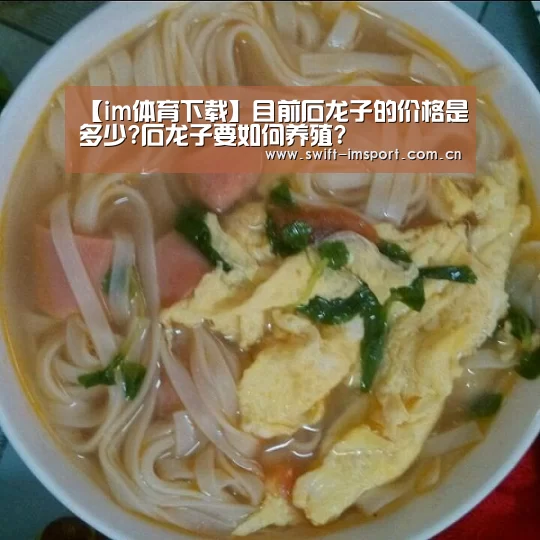 【im体育下载】目前石龙子的价格是多少?石龙子要如何养殖?(图3) im体育欧洲杯