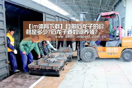 【im体育下载】目前石龙子的价格是多少?石龙子要如何养殖?(图2) im赛事