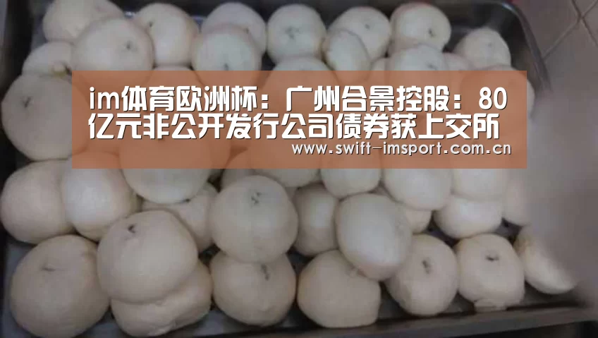 im体育欧洲杯:广州合景控股:80亿元非公开发行公司债券获上交所通过(图3) im赛事