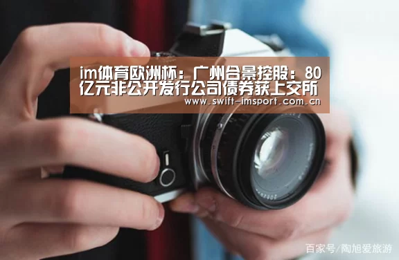 im体育欧洲杯:广州合景控股:80亿元非公开发行公司债券获上交所通过(图4) im体育下载