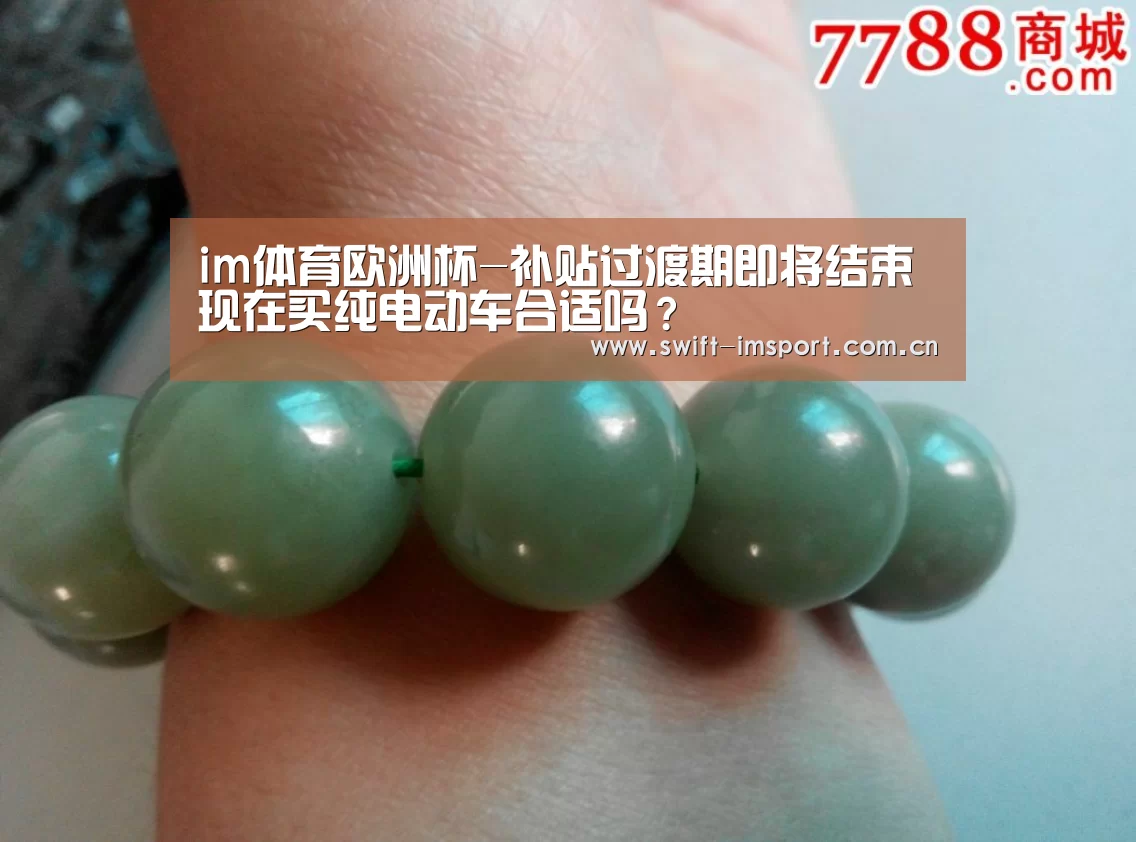 im体育欧洲杯-补贴过渡期即将结束 现在买纯电动车合适吗?(图1) im体育欧洲杯