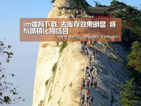 im体育下载_去库存效果明显 将与城镇化相结合(图2) im赛事