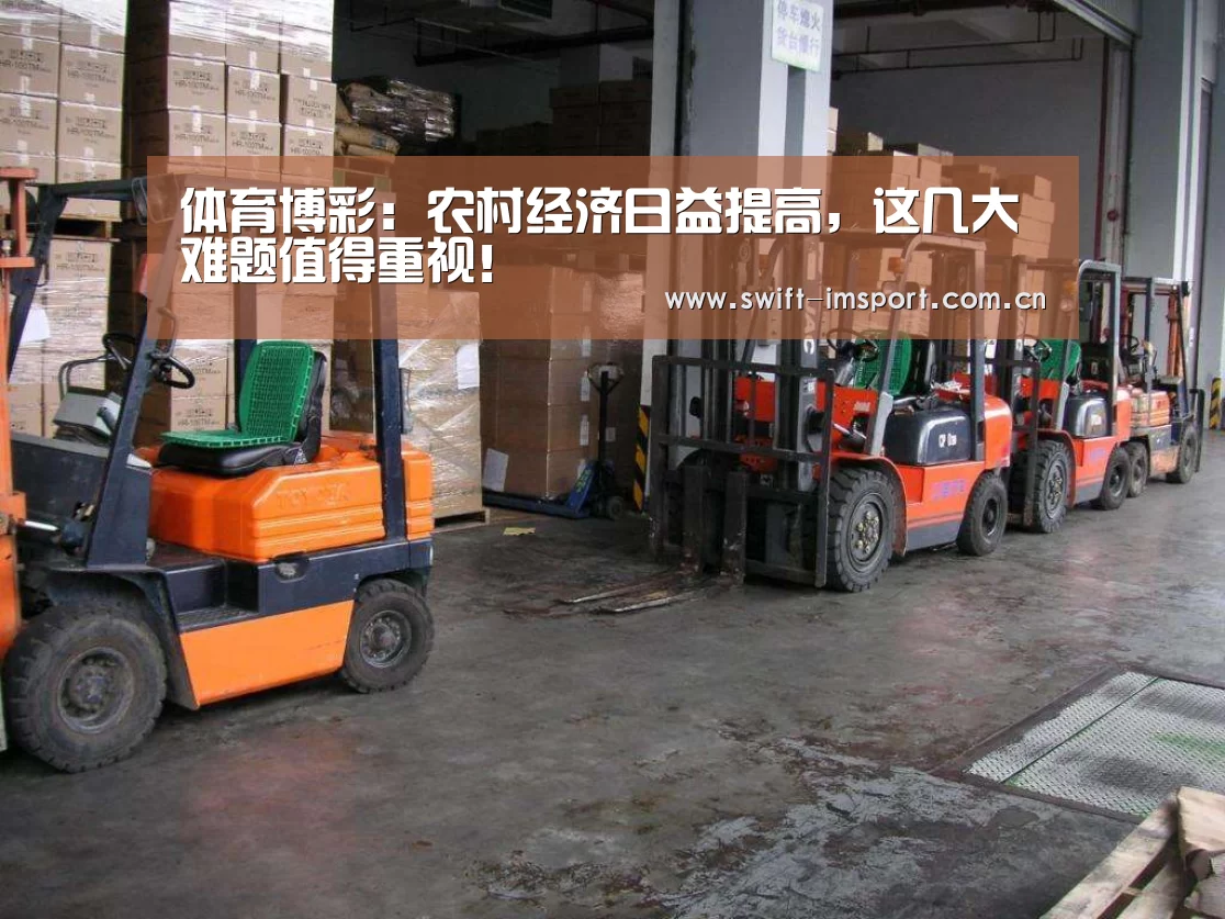 体育博彩:农村经济日益提高,这几大难题值得重视!(图3) im体育欧洲杯
