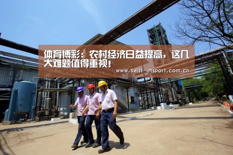 体育博彩:农村经济日益提高,这几大难题值得重视!(图2) im赛事