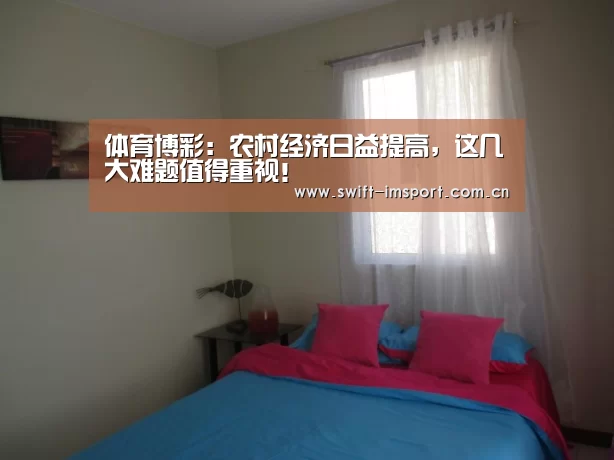 体育博彩:农村经济日益提高,这几大难题值得重视!(图4) im赛事
