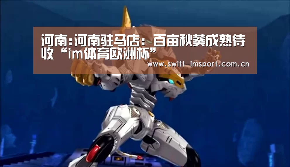 im体育欧洲杯